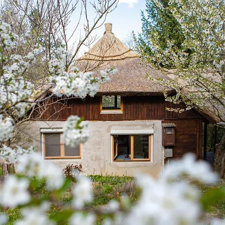 Rustic&green For 6 People Free Airconditioner Free Coffee Balatonkenese