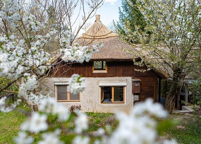 Rustic&green For 6 People Free Airconditioner Free Coffee Free Parking Balatonkenese